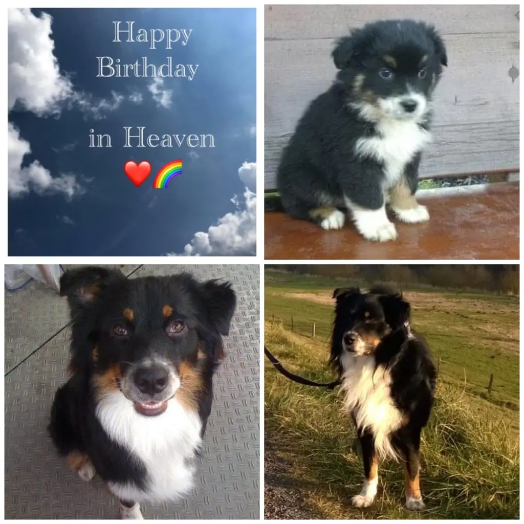 Condolence image of Unbekannt