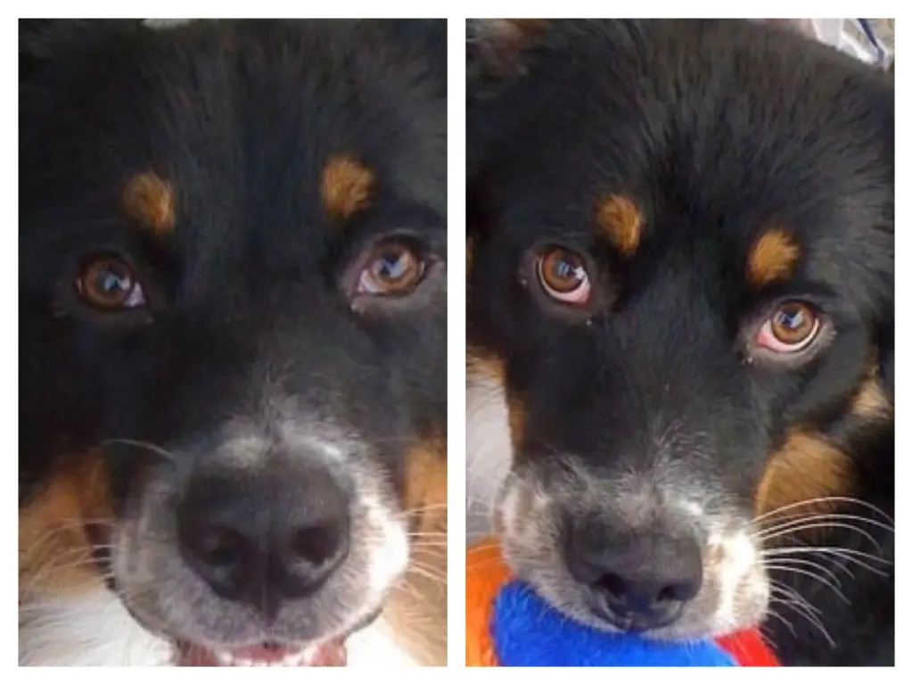 Condolence image of Unbekannt