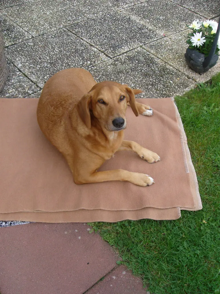 Andachtsbild von Marlies mit Pietsch tief im Herzen