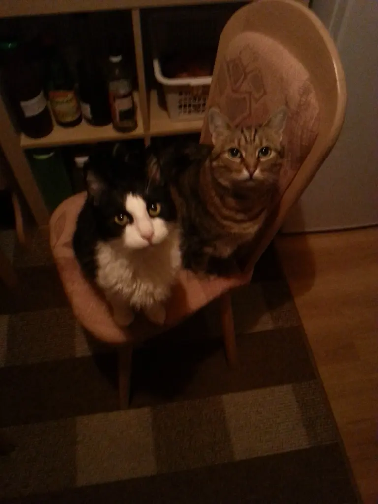 Condolence image of Peter und Marina mit Whisky Gestorben am 25.11.2017