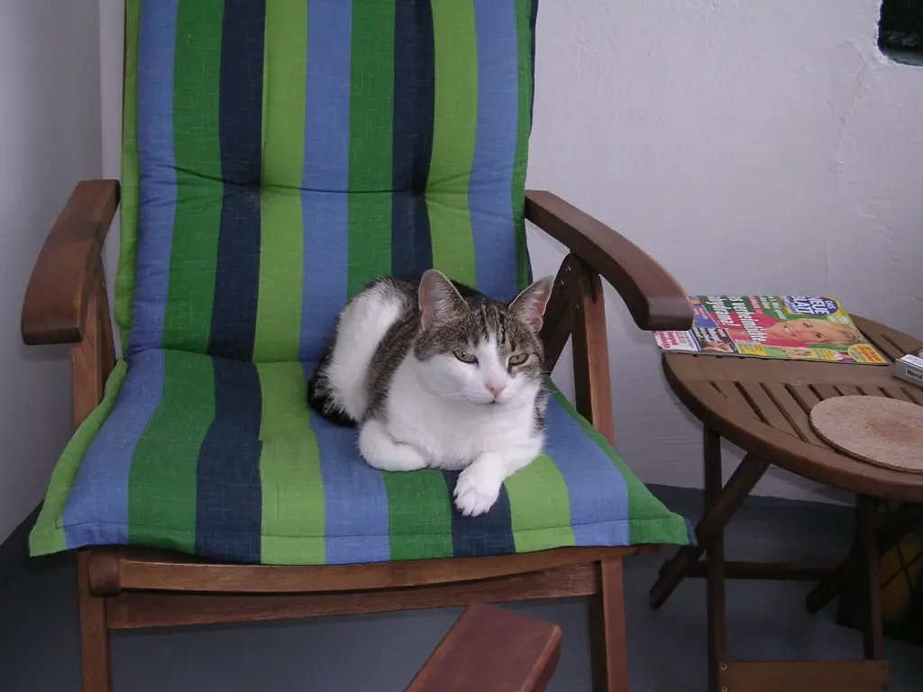 Condolence image of Susanne