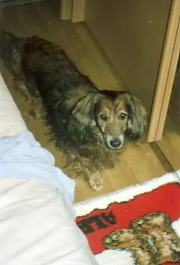 Andachtsbild von Claudia mit Axel im Herzen