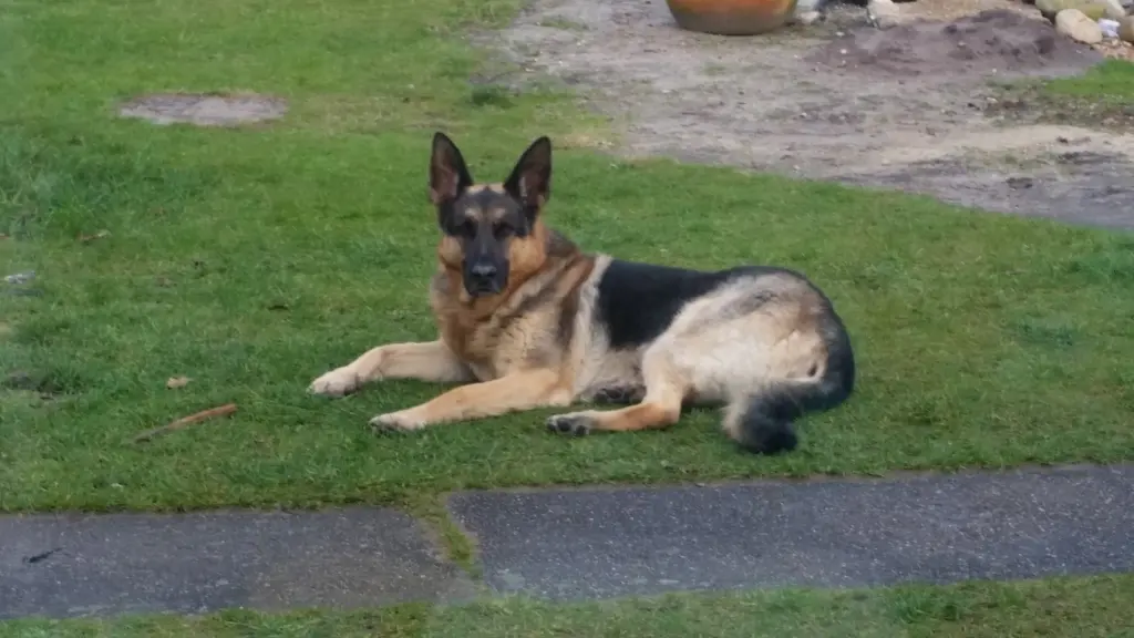 Andachtsbild von carina Kirchhoff