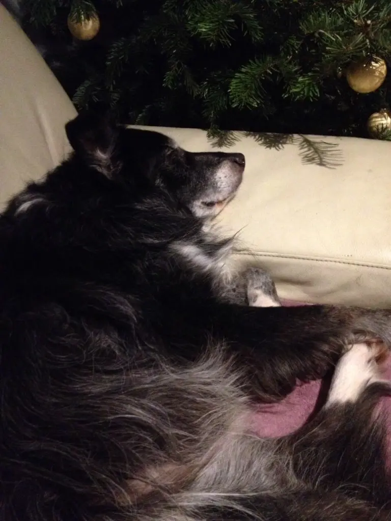 Andachtsbild von Unbekannt