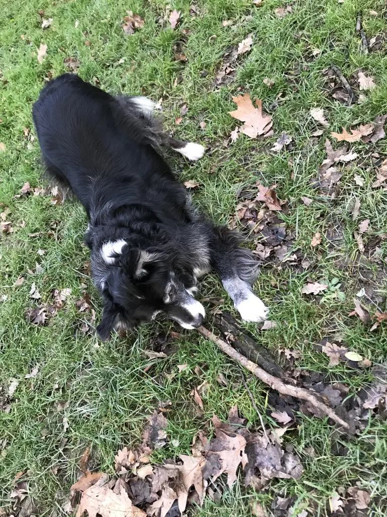 Andachtsbild von Unbekannt