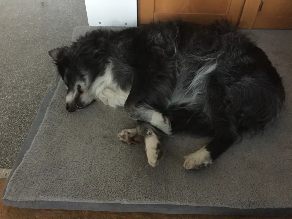 Andachtsbild von Unbekannt