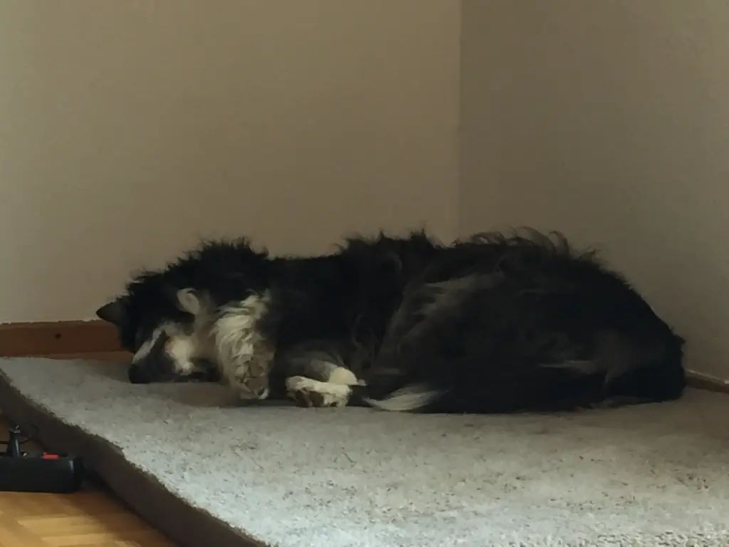 Andachtsbild von Unbekannt