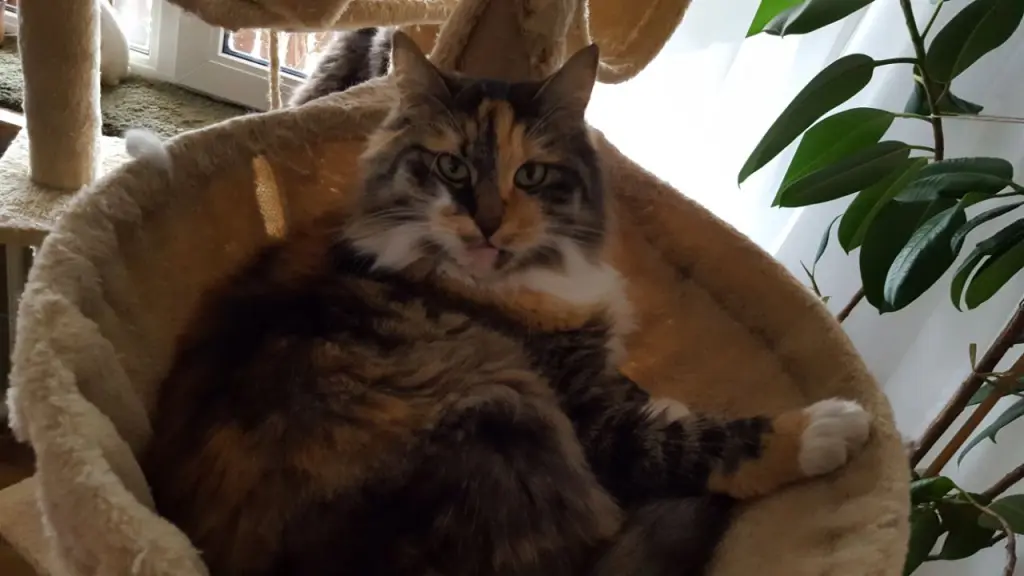 Andachtsbild von Rosemarie mit Minnie im Herzen