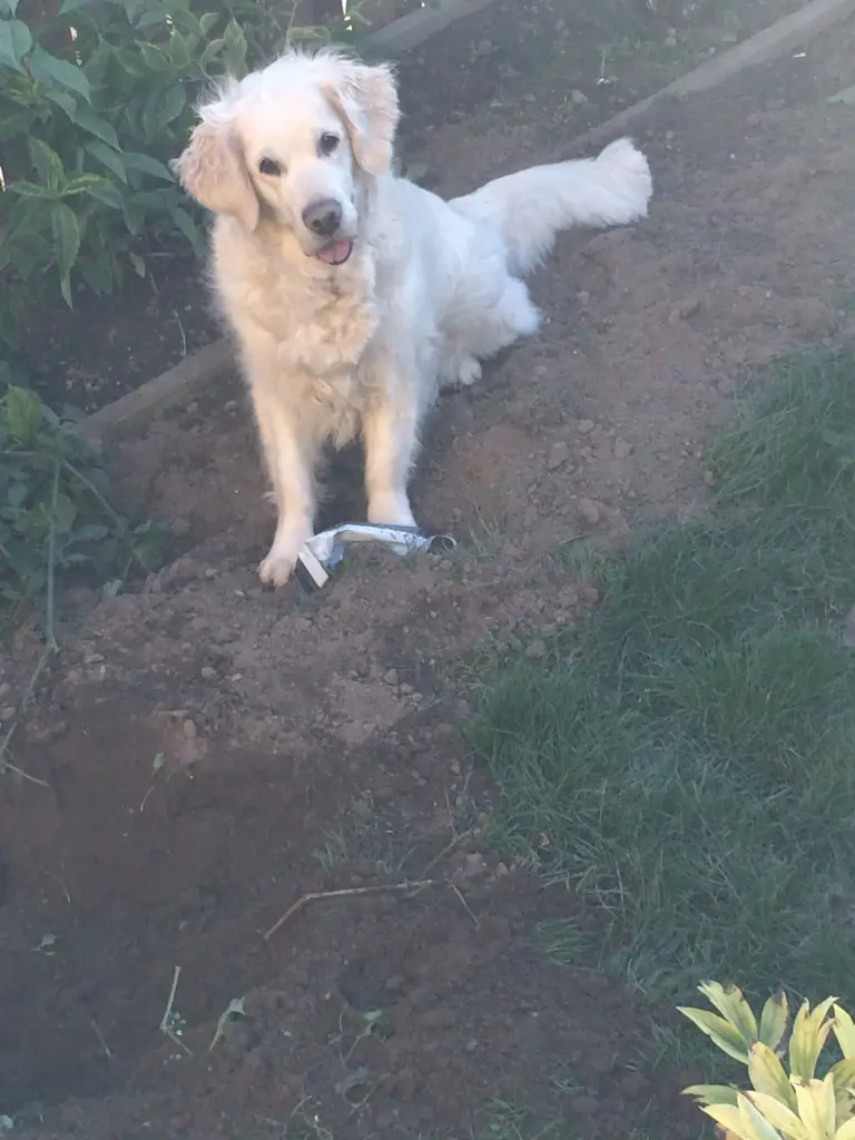 Andachtsbild von Stefanie