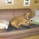 Andachtsbild von Marlies mit Pietsch im Herzen