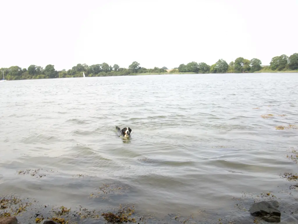 Andachtsbild von Birgit und Dieter