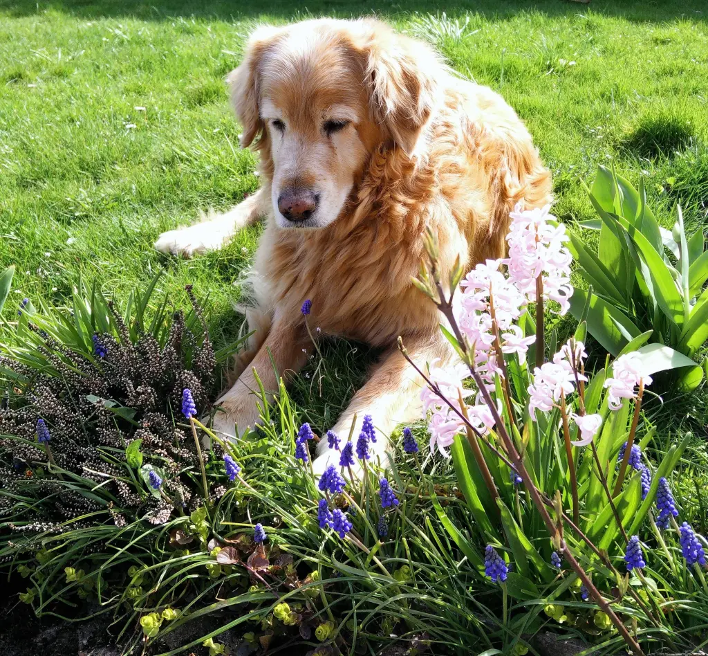 Andachtsbild von Michael mit Alesca +27.11.2017