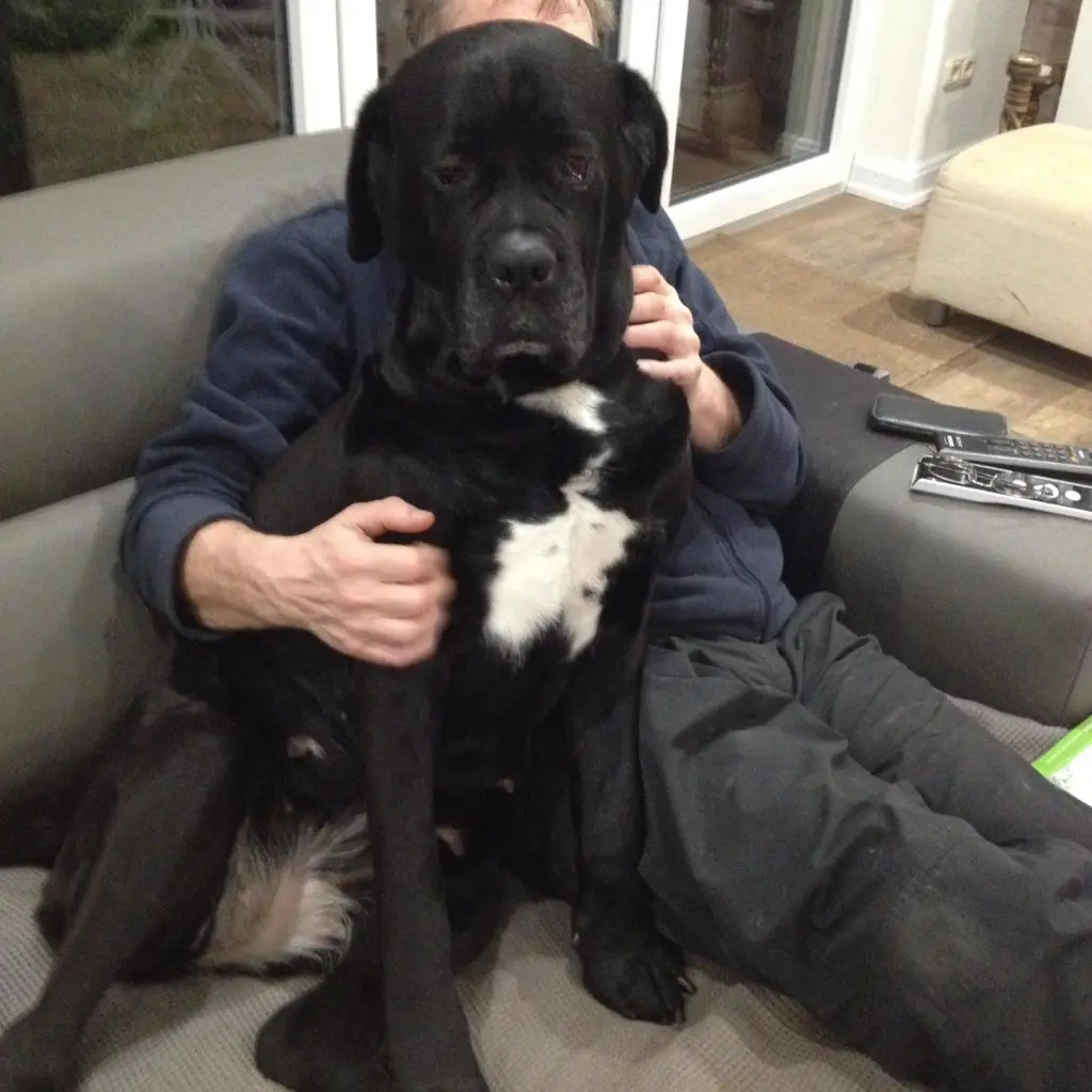 Condolence image of Andrea