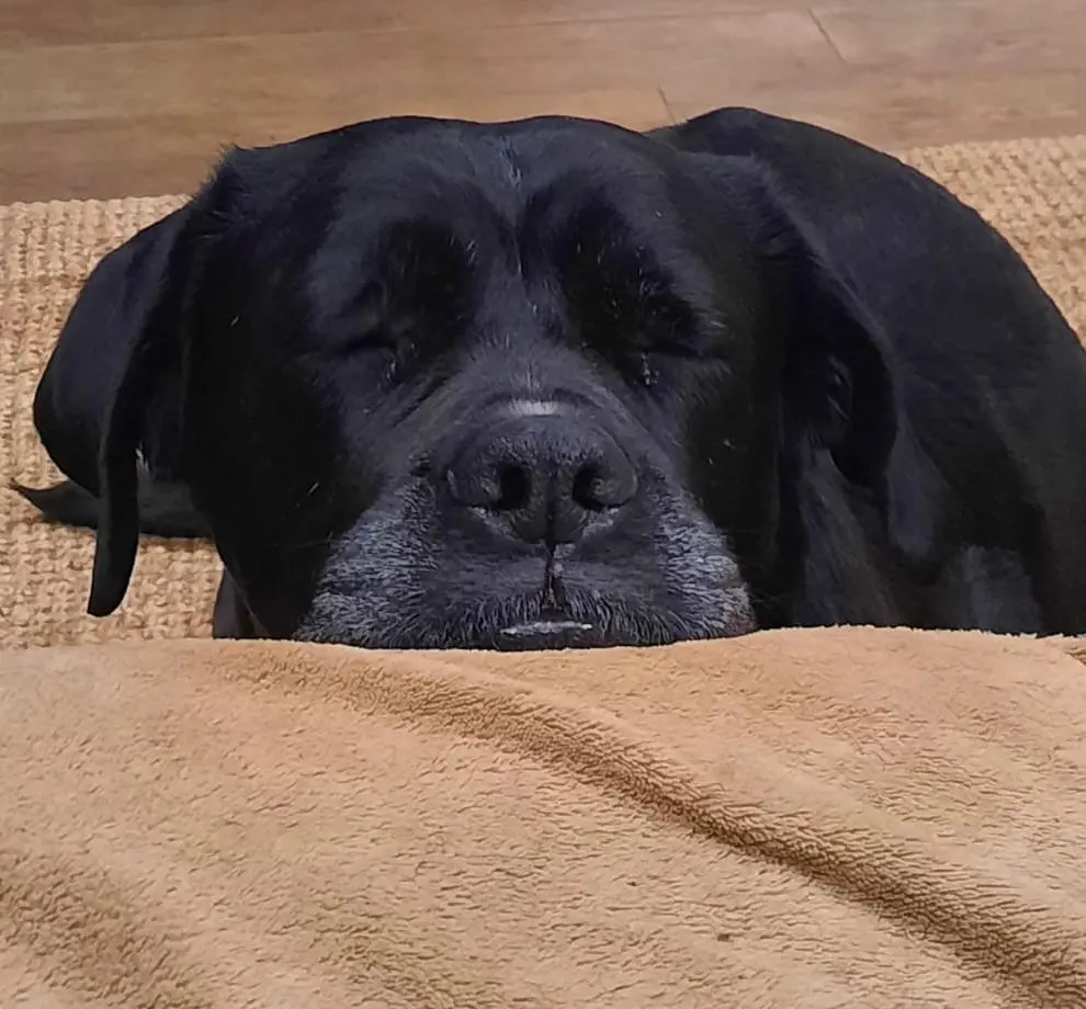 Condolence image of Andrea