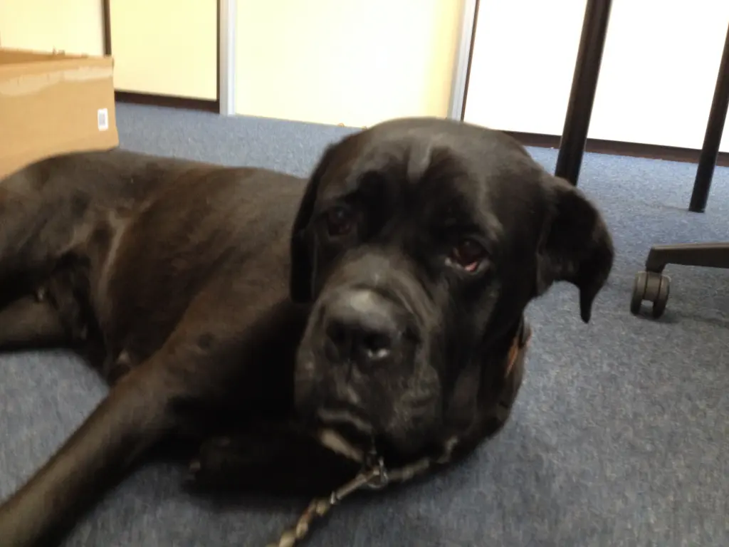 Condolence image of Andrea