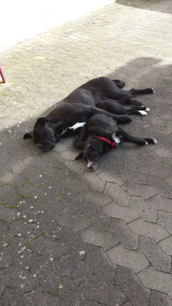 Condolence image of Andrea