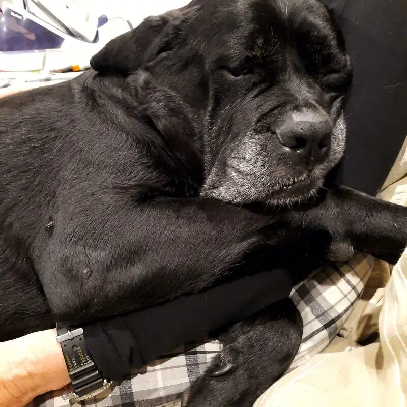 Condolence image of Andrea