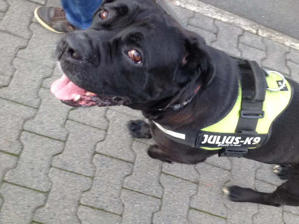 Condolence image of Andrea