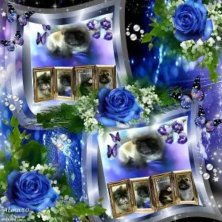 Image from meine zwei liebsten bärchen und prinzesin sheila