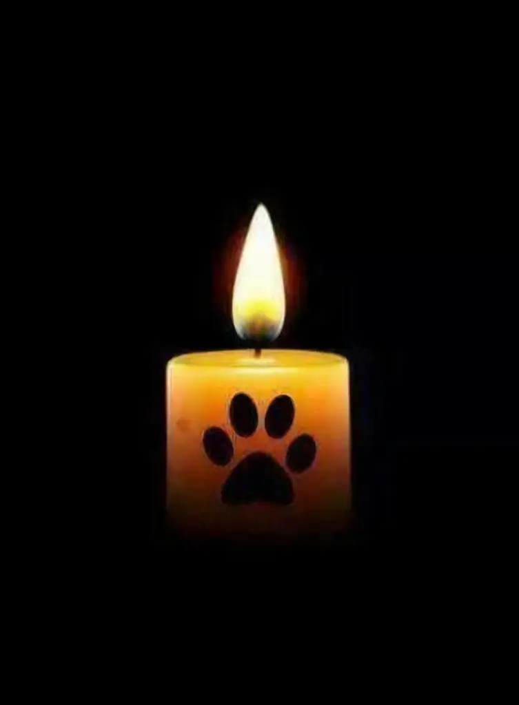 Andachtsbild von Monika