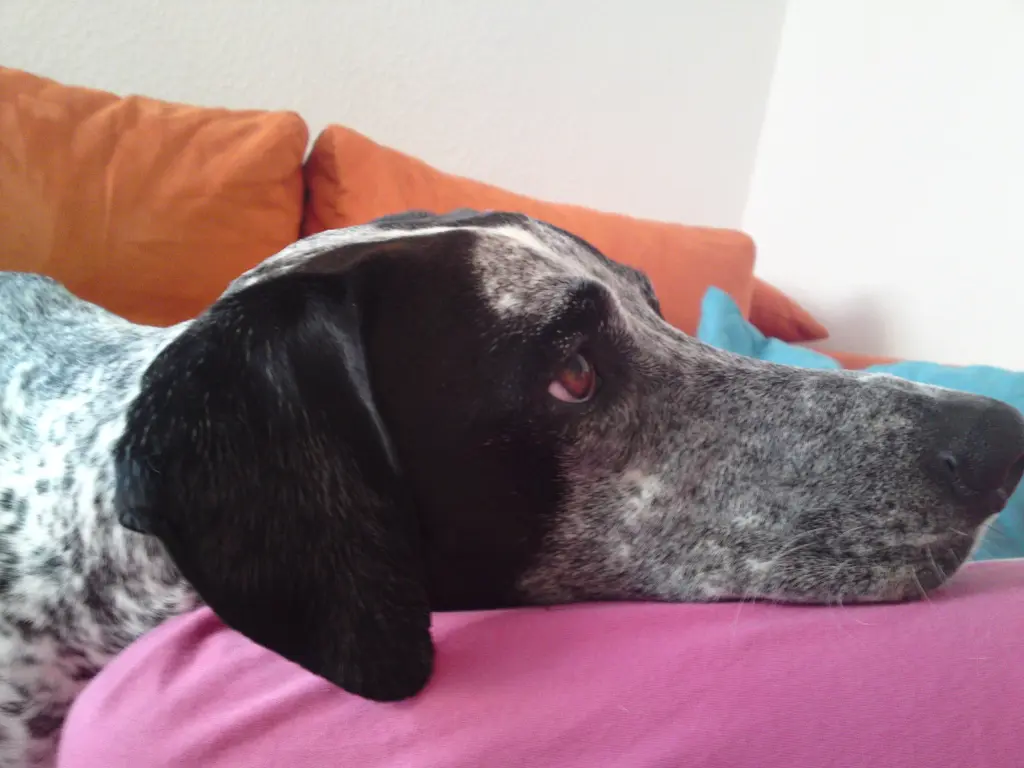 Condolence image of Ewa