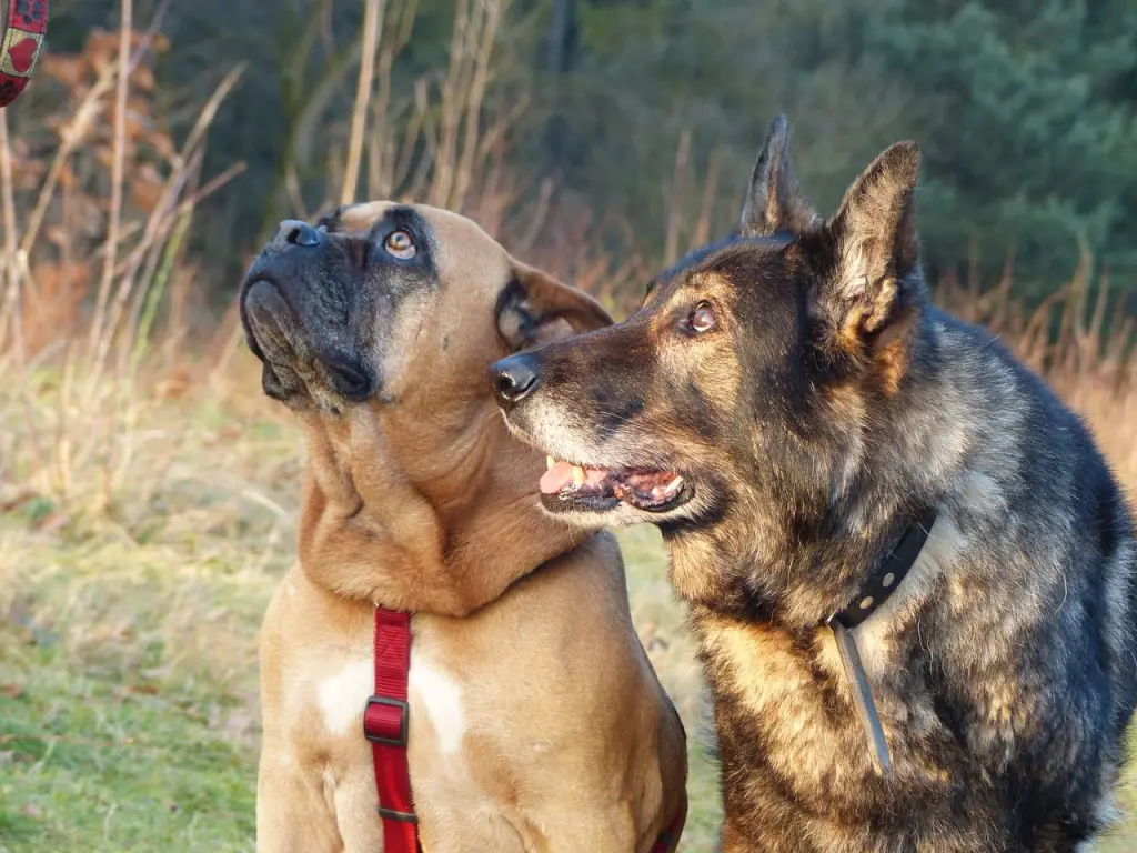 Condolence image of Anna Kirschbaum