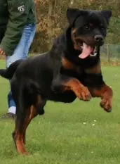 Condolence image of Sandra