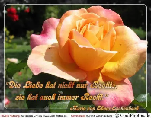 Image from FIPS zum GEBURTSTAG !
