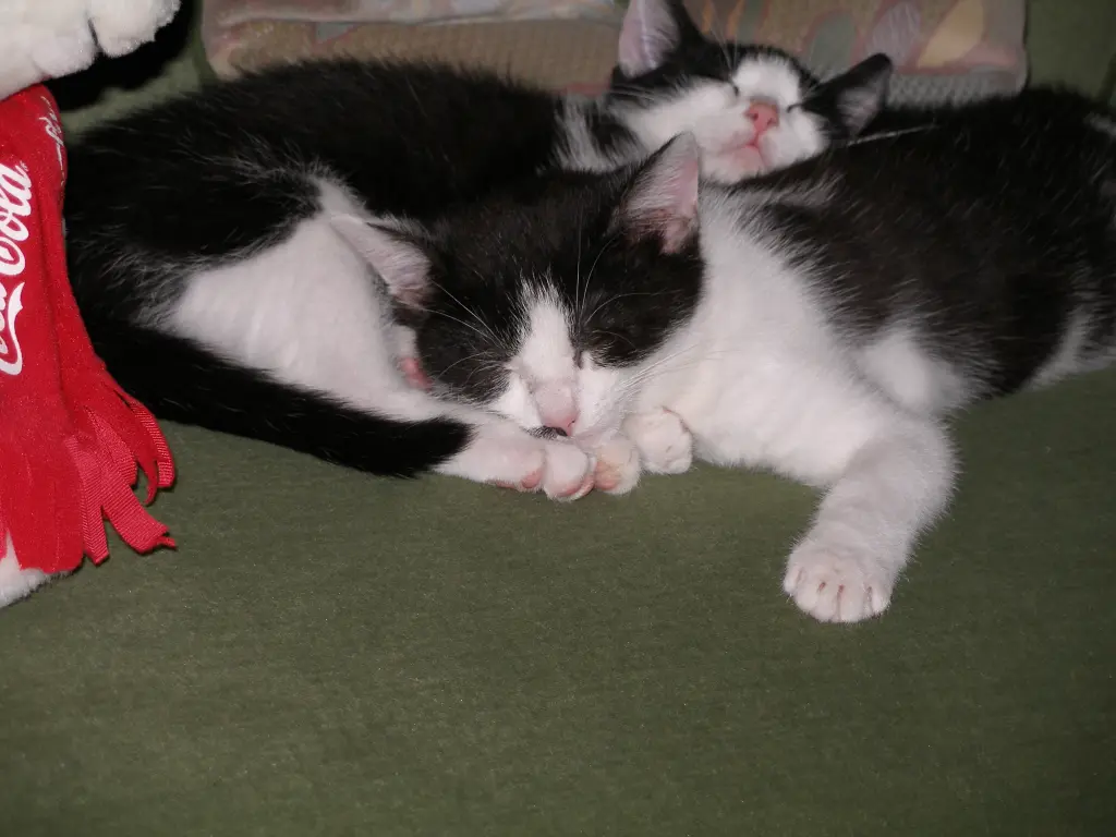 Condolence image of Nicole&Micki