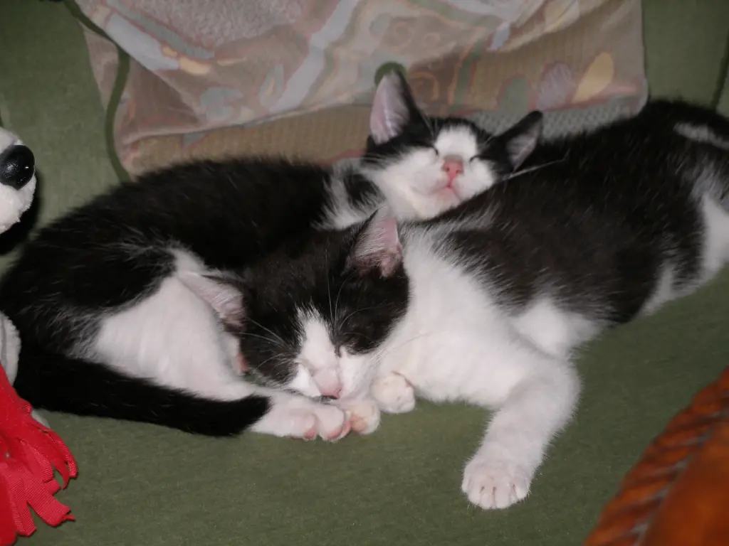 Condolence image of Nicole&Micki 