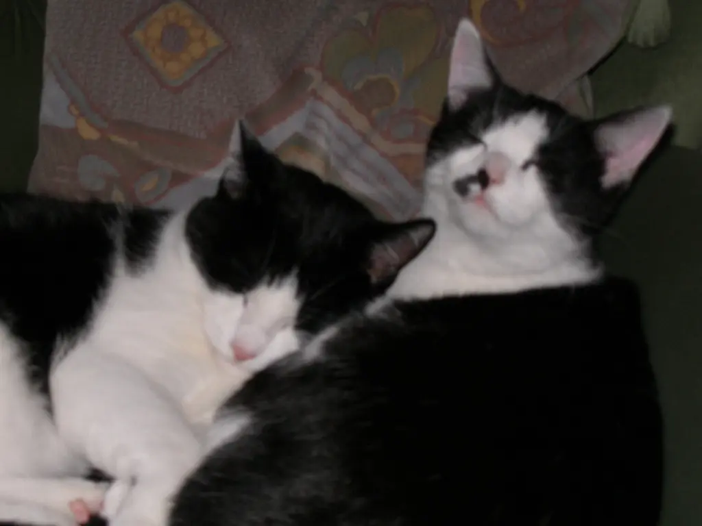 Condolence image of Nicole&Micki