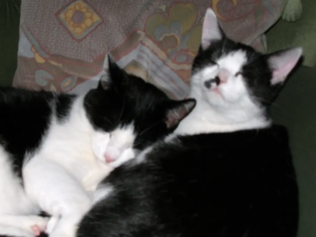 Condolence image of Nicole&Micki