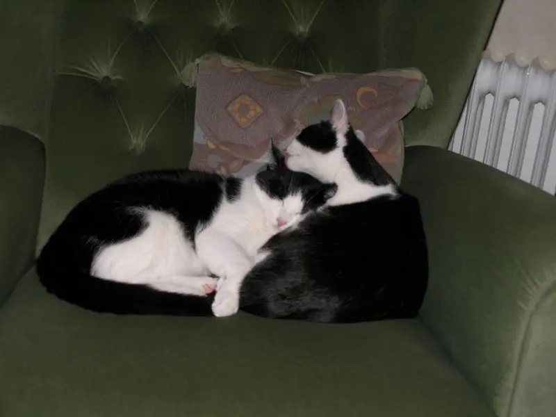 Condolence image of Nicole&Micki 