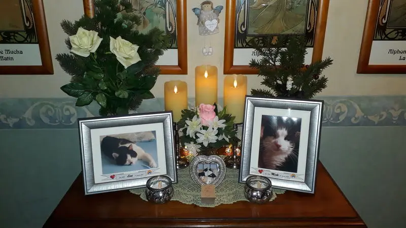 Condolence image of Nicole