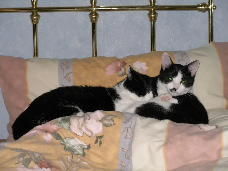 Condolence image of Nicole