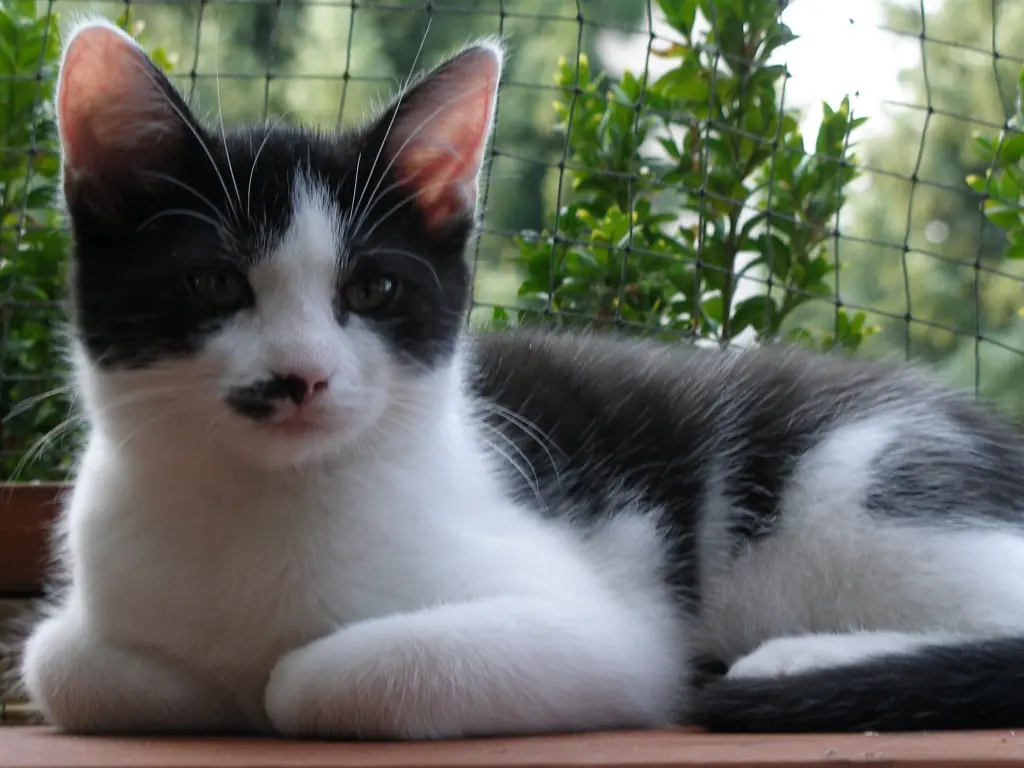 Condolence image of Nicole