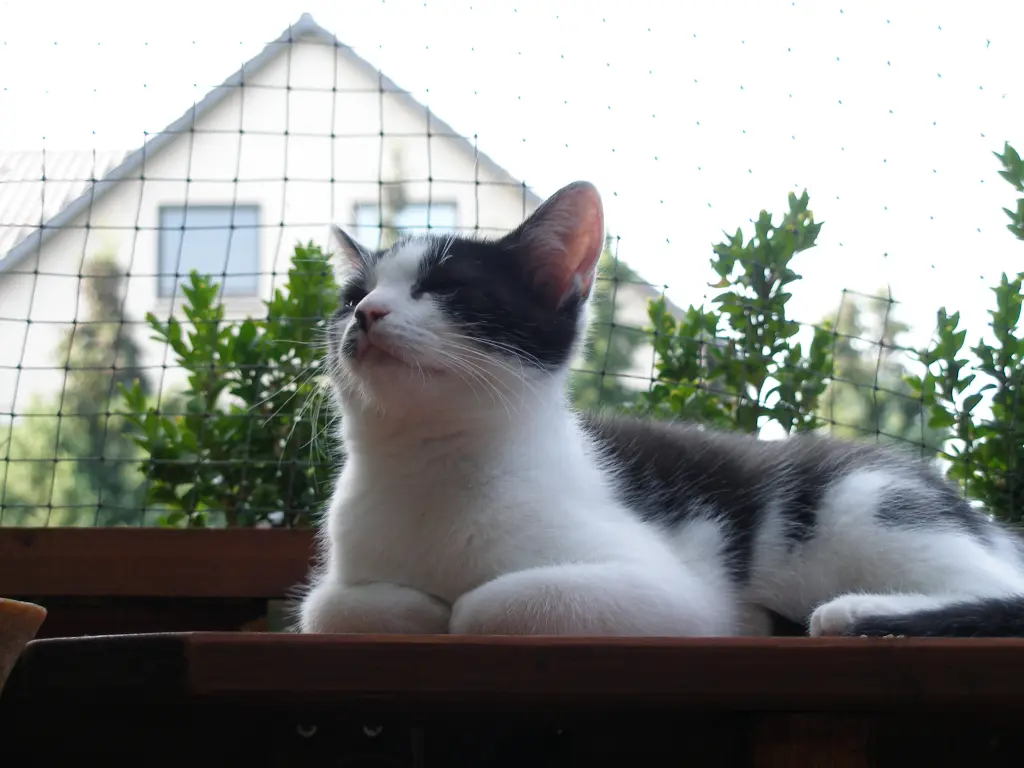 Condolence image of Nicole 