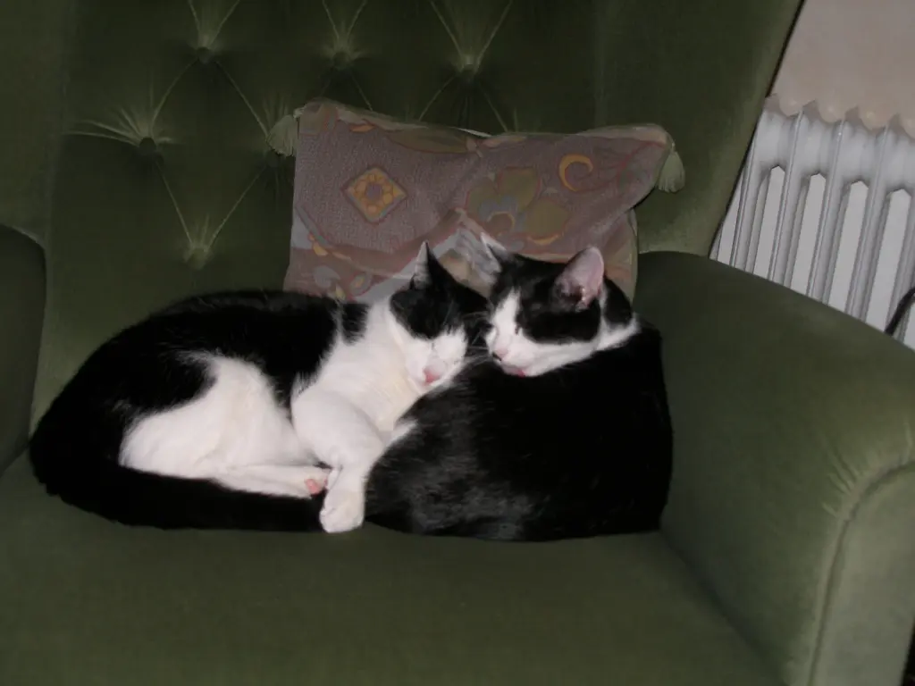 Condolence image of Nicole