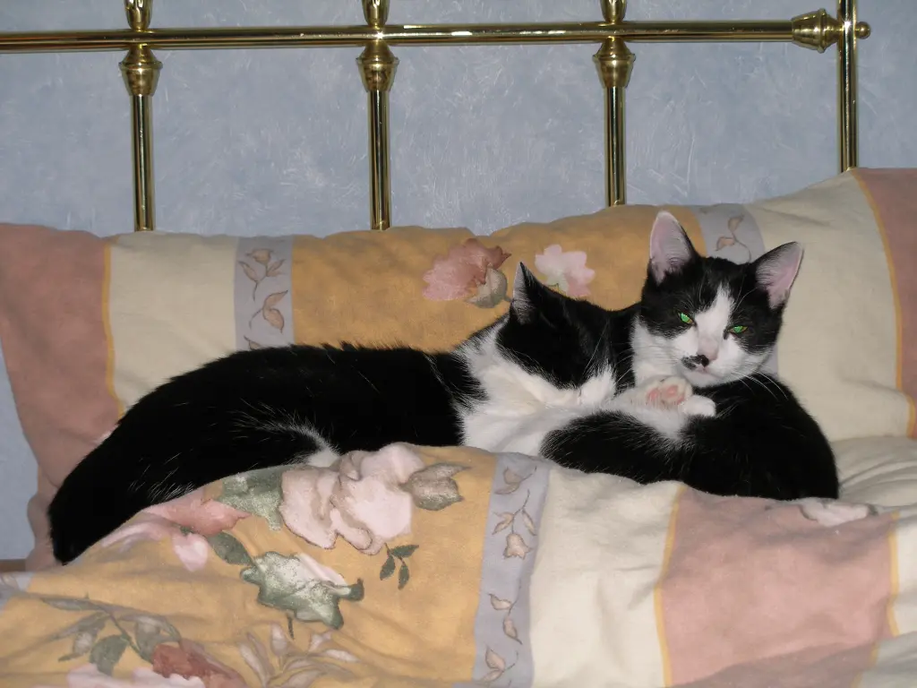 Condolence image of Nicole