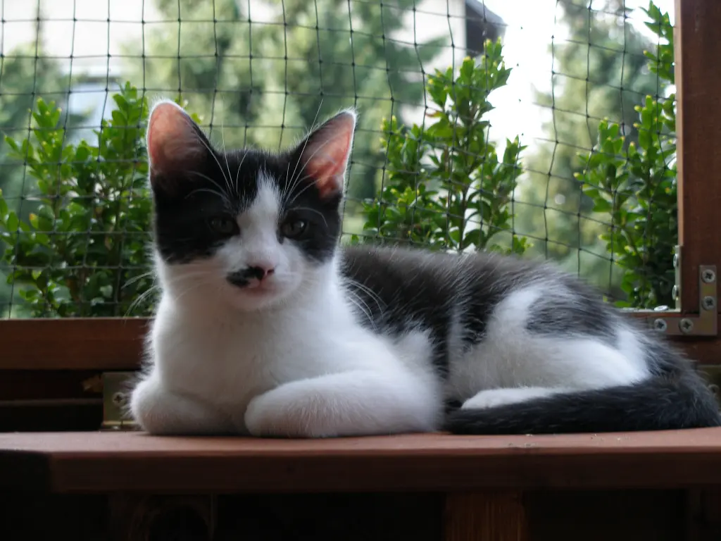 Condolence image of Nicole