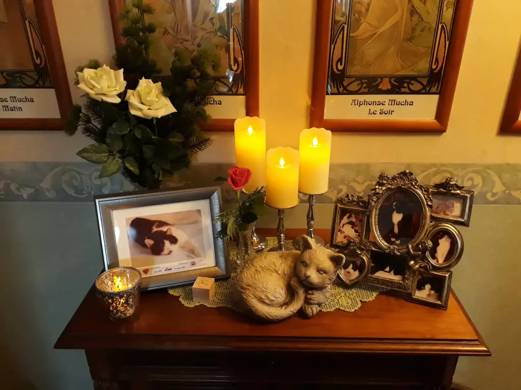 Condolence image of Nicole