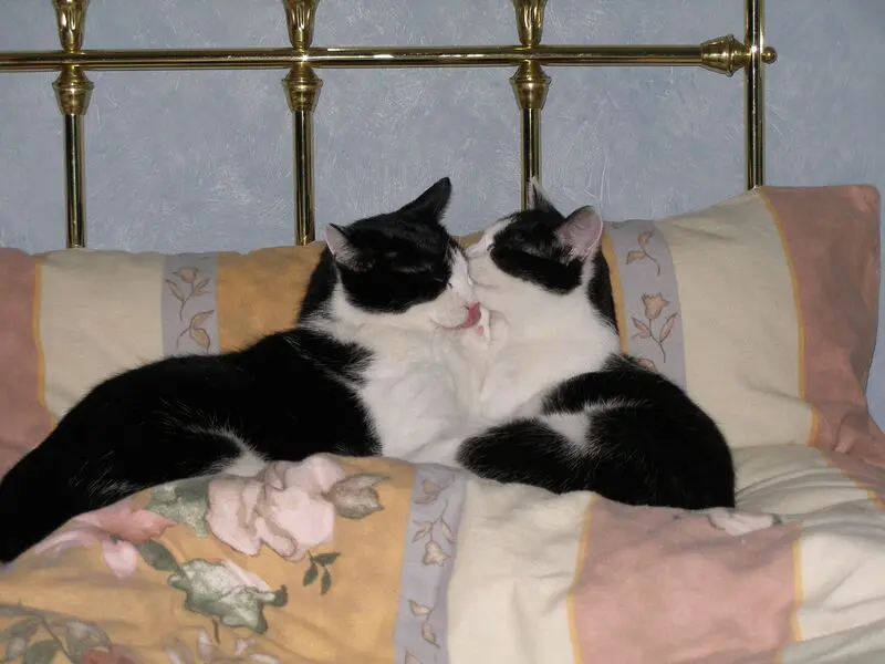 Condolence image of Nicole