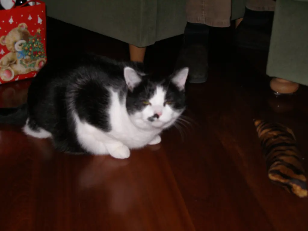 Condolence image of Nicole Schwarze