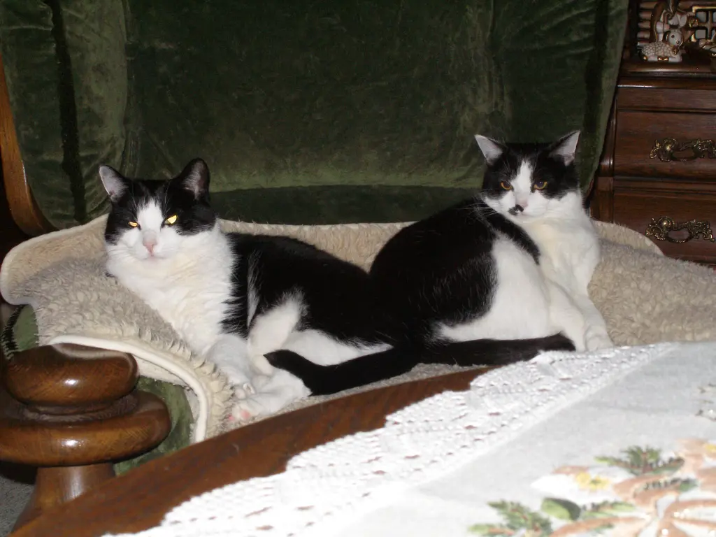 Condolence image of Nicole Schwarze