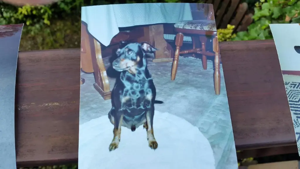 Condolence image of Marga mit Rambo im Herzen