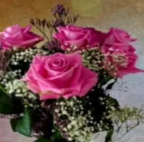 Condolence image of Rosen für die bezaubernde Stella