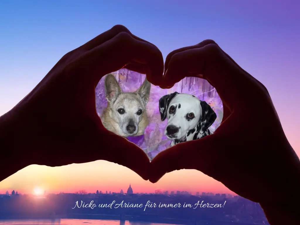 Condolence image of Michaela mit Nicko und Ariane ganz tief im ❤