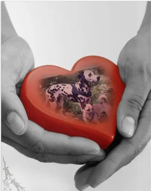 Condolence image of Michaela mit Nicko und Ariane ganz tief im ❤