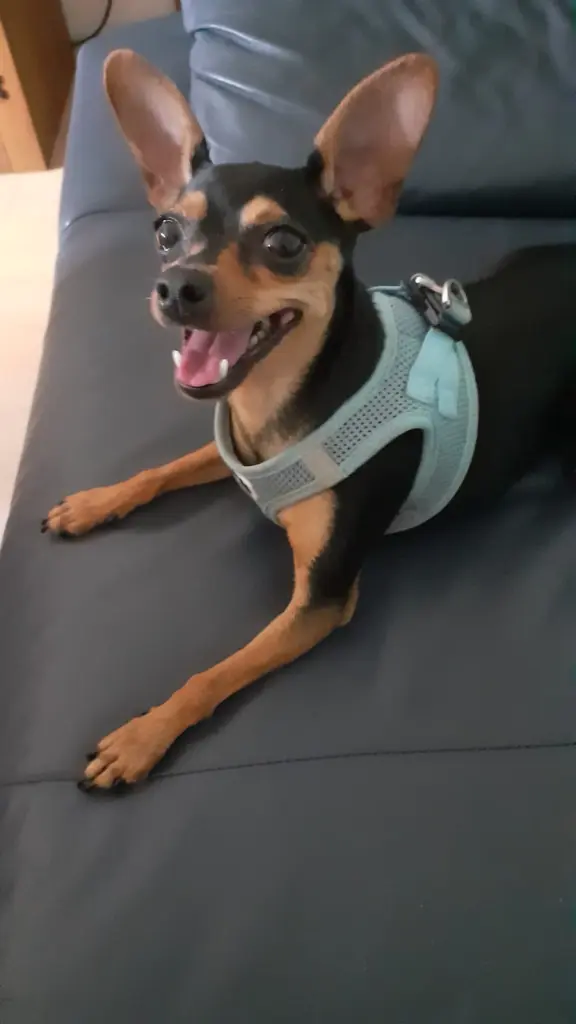 Condolence image of Ursula