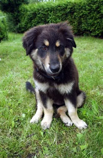 Condolence image of Claudia